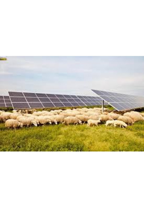 Azienda Agrivoltaica